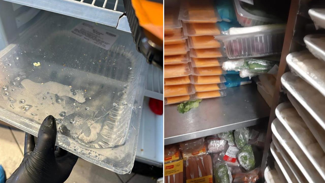 Controale pe litoralul românesc. Amenzi de peste 580.000 de lei și sute de kilograme de produse alimentare confiscate - activitatea a trei unități, interzisă