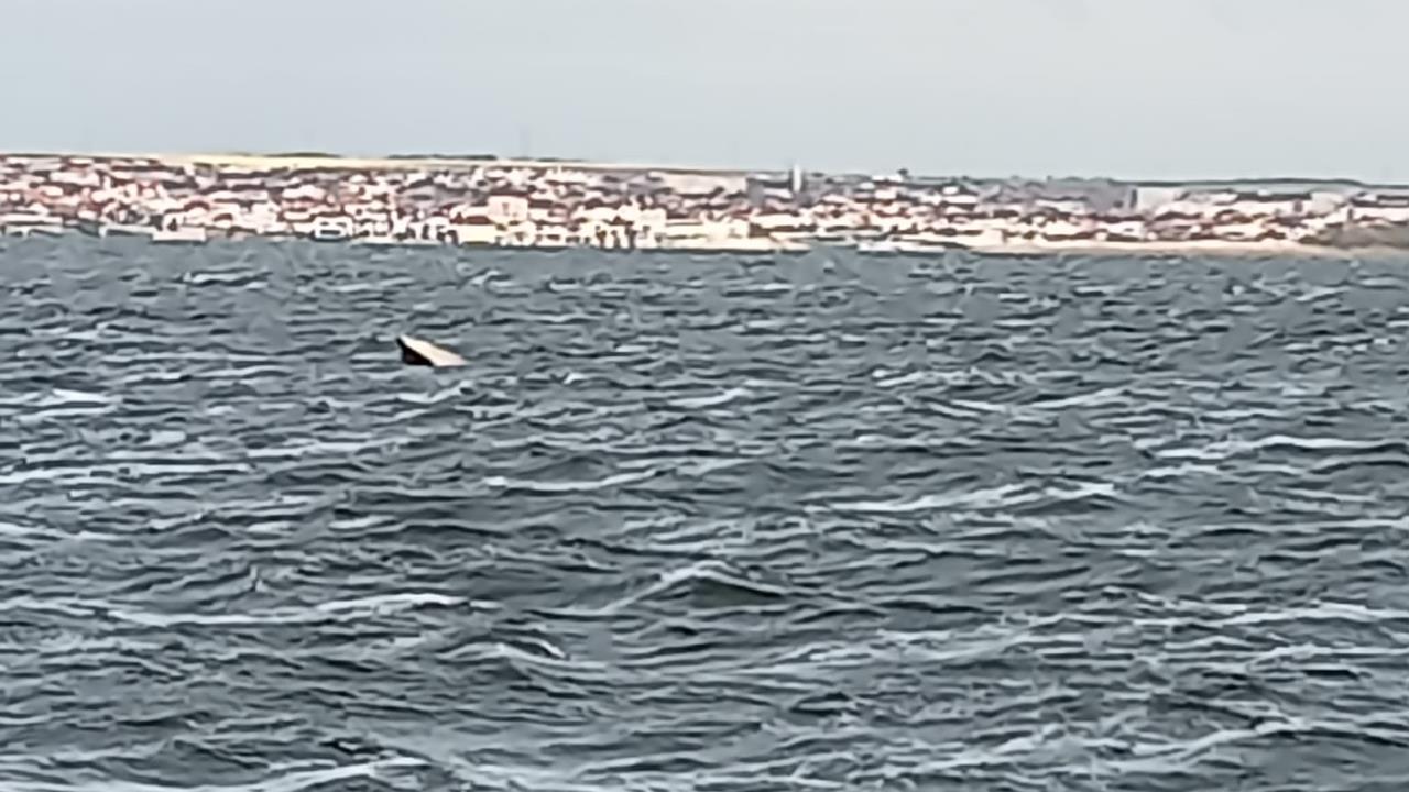 (FOTO. VIDEO) Alertă pe lacul Siutghiol. O barcă pescărească s-a scufundat: intervin scafandrii