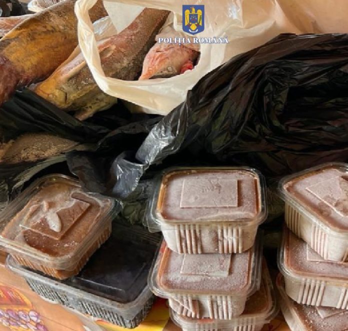 Percheziții în Tulcea: polițiștii au confiscat zeci de kilograme de icre și pește, plase de pescuit și motoare de ambarcațiune