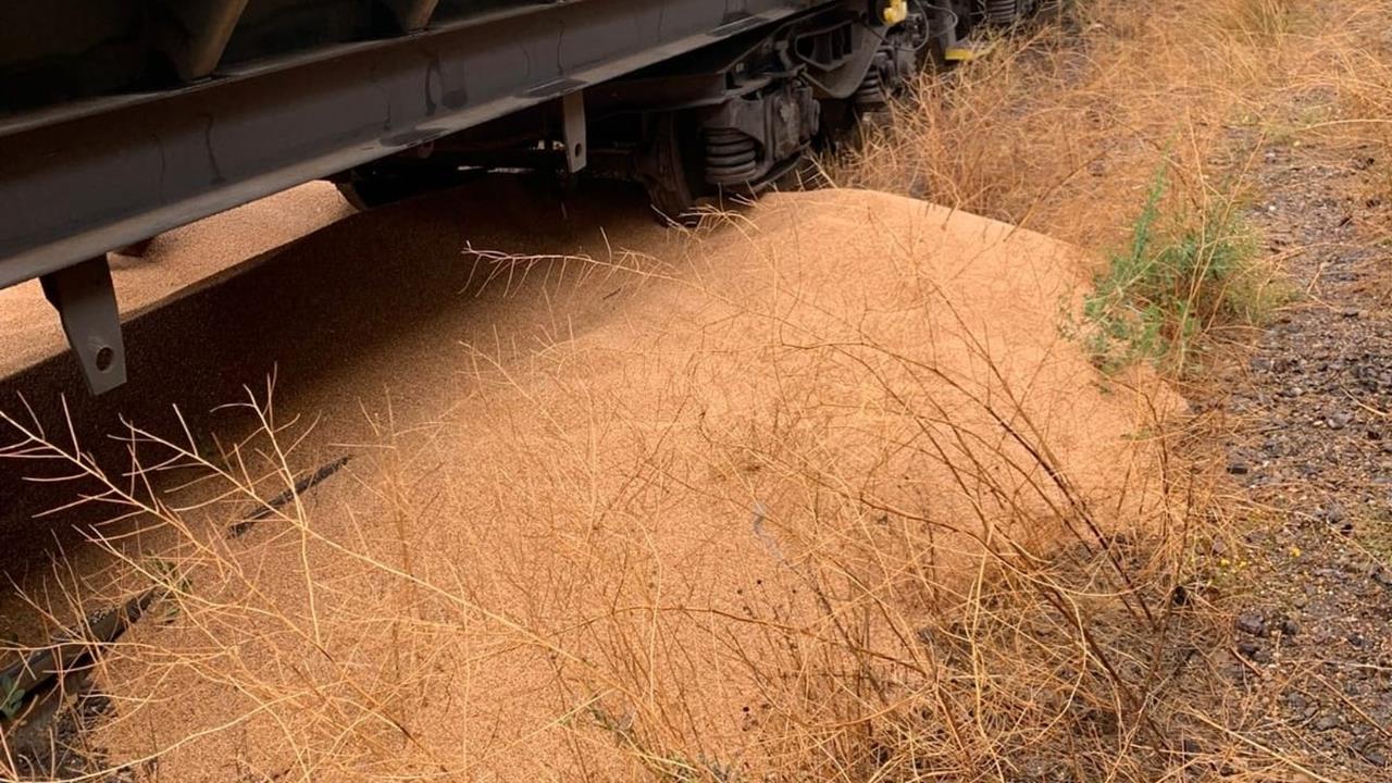 (FOTO) Doi bărbați au fost reținuți după ce au sustras 500 de kg de grâu dintr-un tren de marfă aflat în triajul Palas